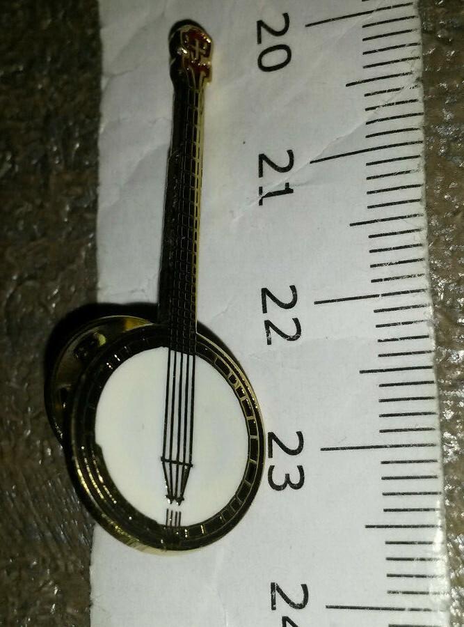 10 pins lot of Banjo Guitar white Pin