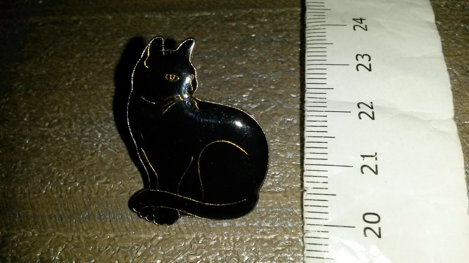 Black Cat proudly posing Pin