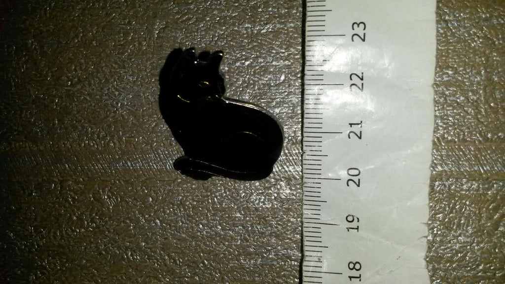 Black Cat proudly posing Pin