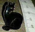 Black Cat proudly posing Pin