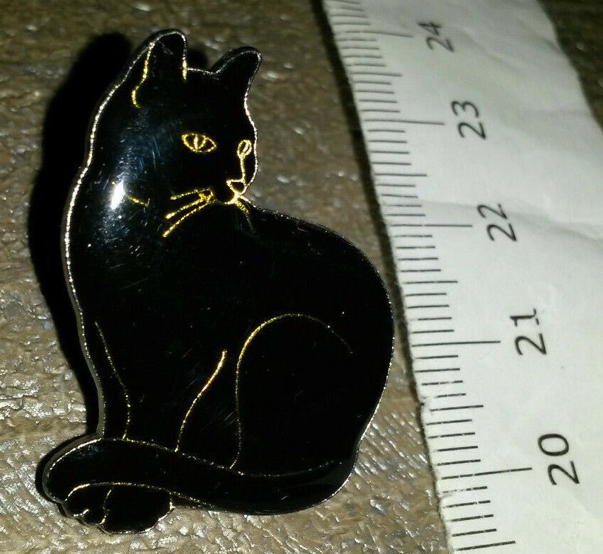 Black Cat proudly posing Pin