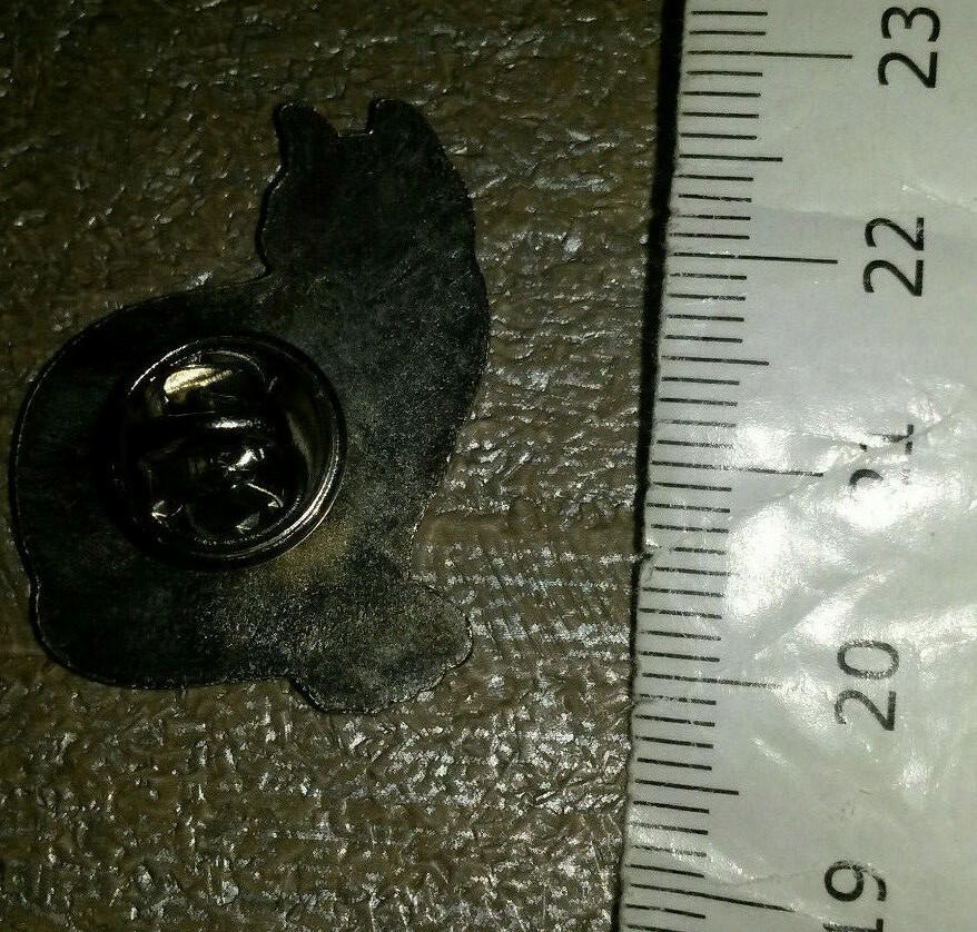 Black Cat proudly posing Pin