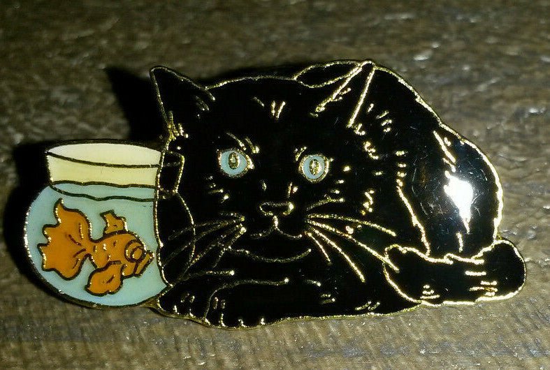 Black Cat watching Red Fish in aquarium Pin
