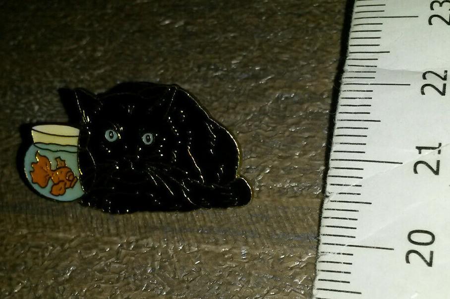 Black Cat watching Red Fish in aquarium Pin