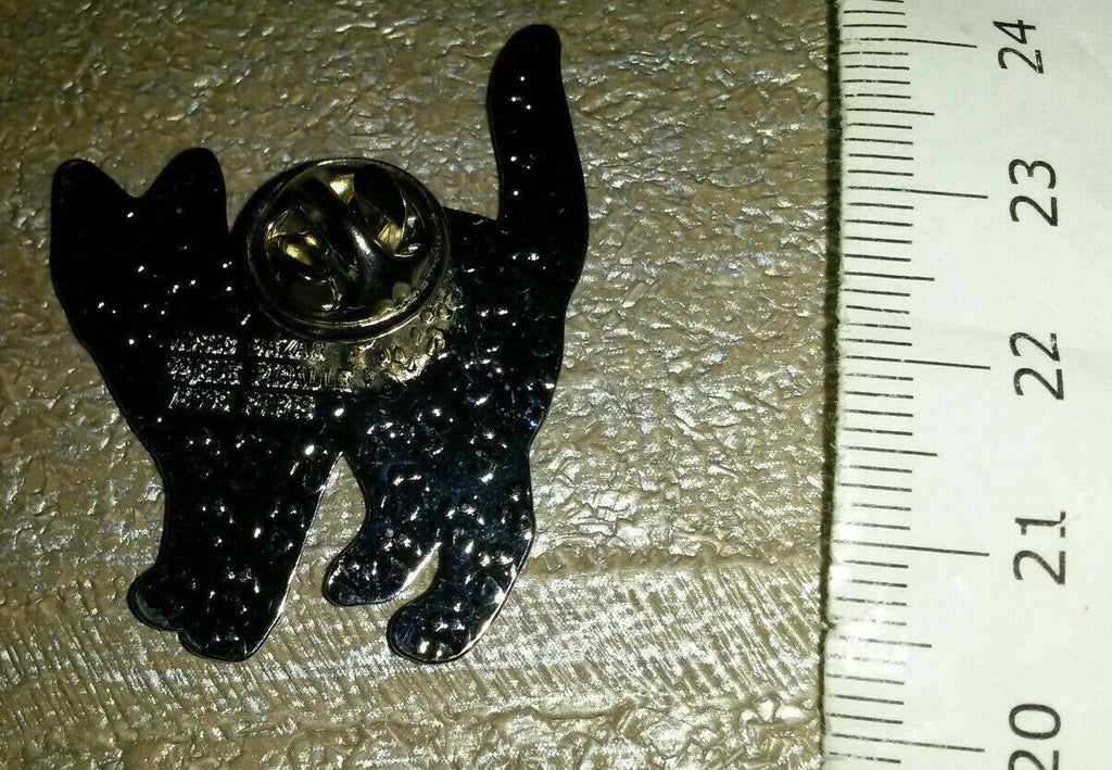 Cat Black and silver colour with blue eyes Pin