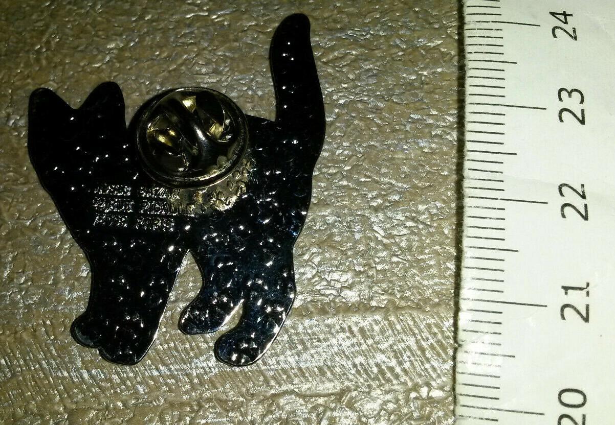 Cat Black and silver colour with blue eyes Pin