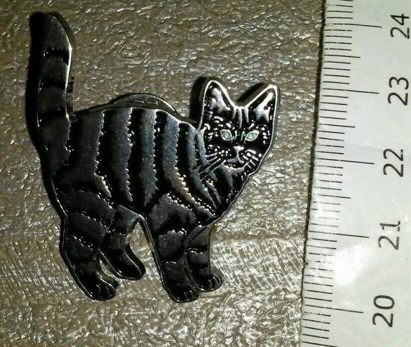 Cat Black and silver colour with blue eyes Pin