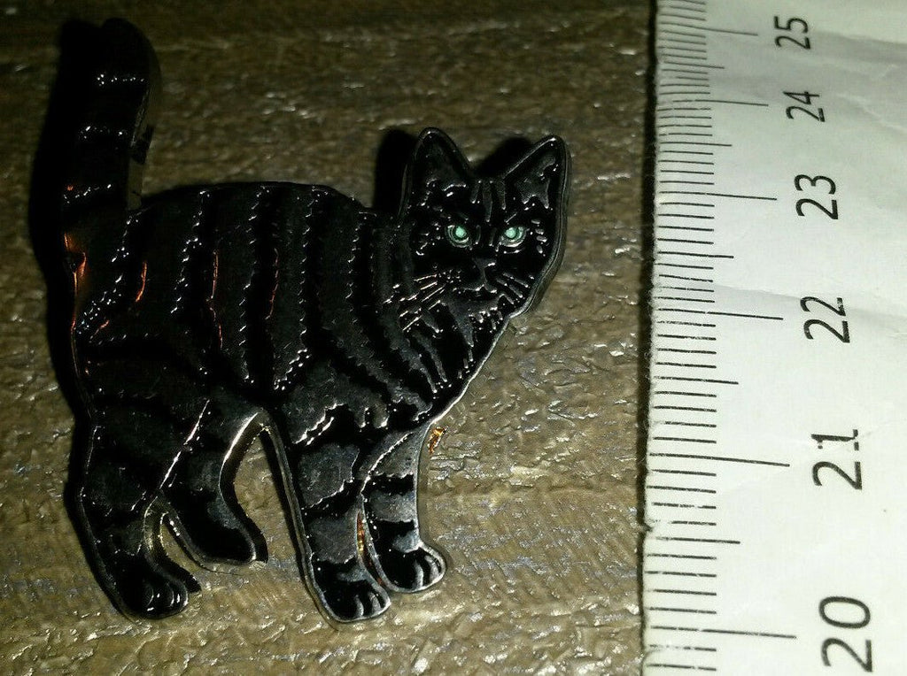 Cat Black and silver colour with blue eyes Pin