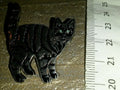 Cat Black and silver colour with blue eyes Pin