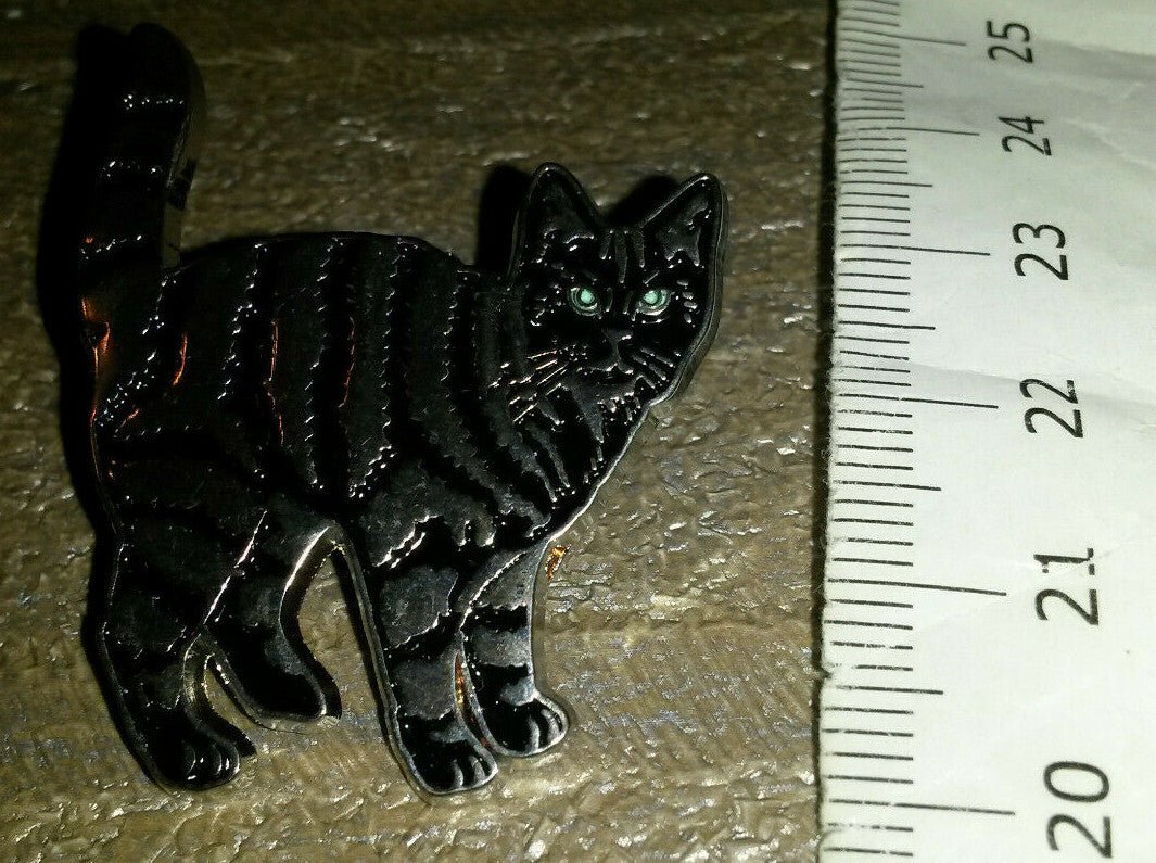 Cat Black and silver colour with blue eyes Pin