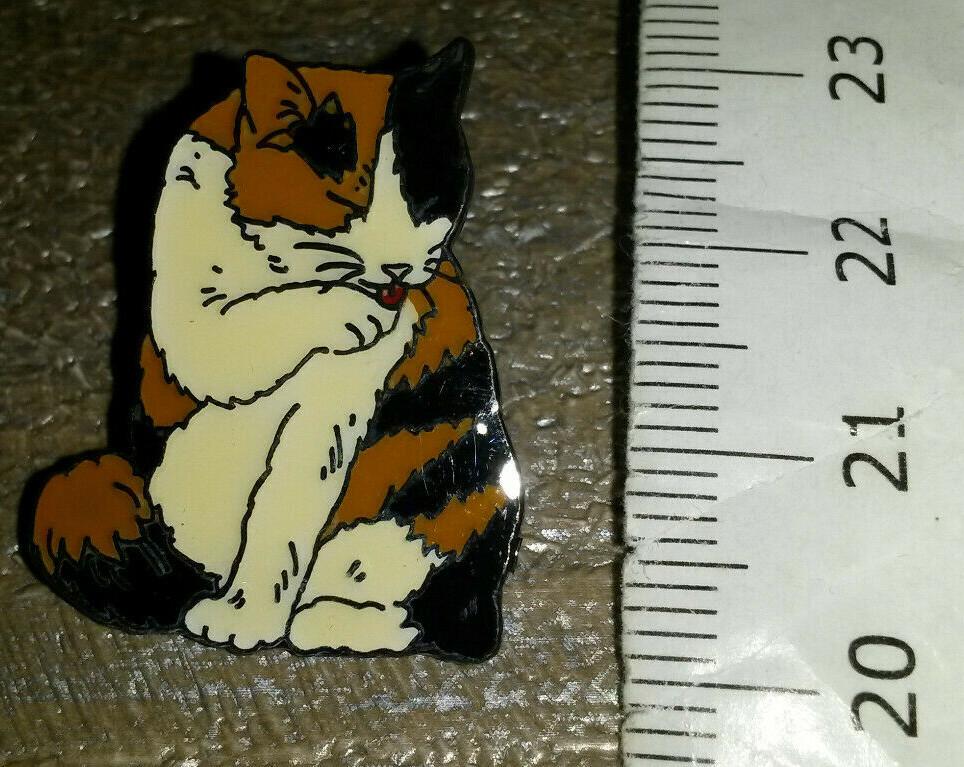 Cat Black and White and Brown licking its Paws Pin