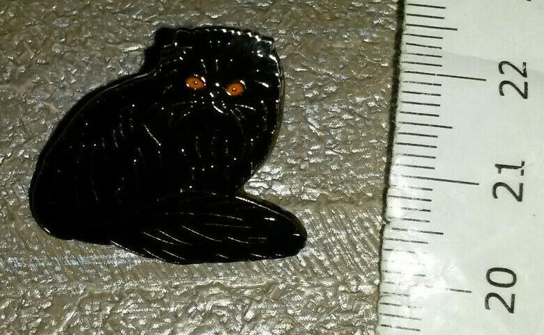Cat Black posing with orange eyes Pin