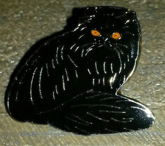 Cat Black posing with orange eyes Pin