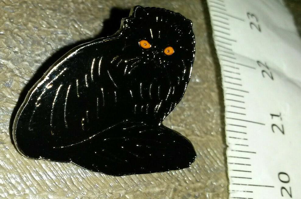 Cat Black posing with orange eyes Pin