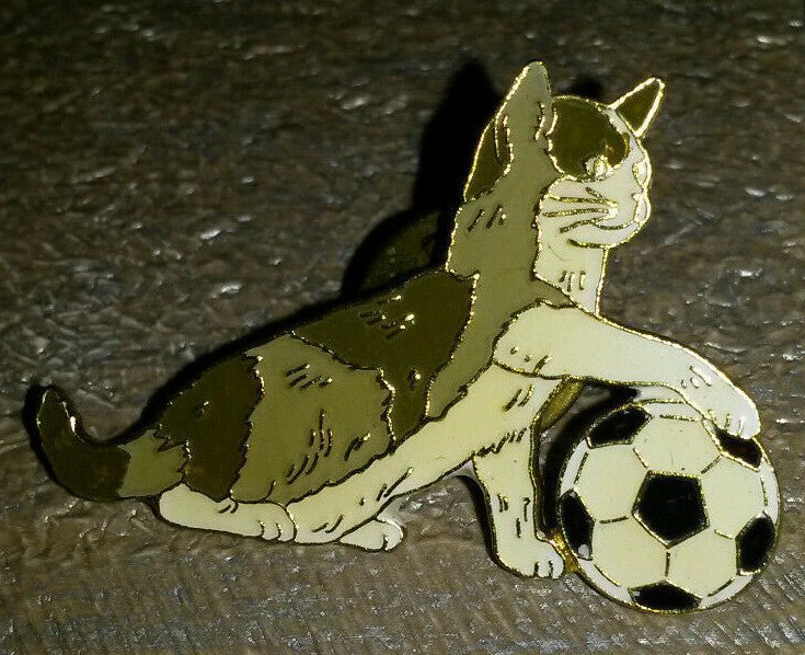 Cat Grey and White playing with football Pin
