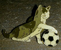 Cat Grey and White playing with football Pin