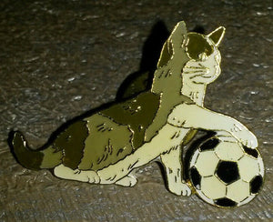 猫 グレーと白 サッカーボールで遊ぶ ピン