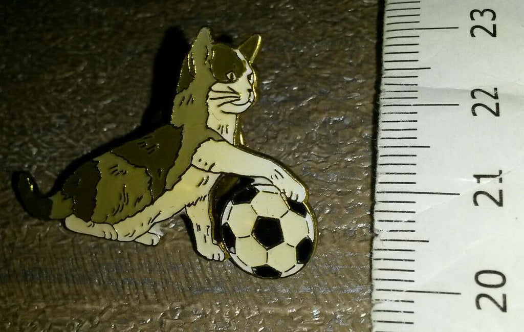 Cat Grey and White playing with football Pin