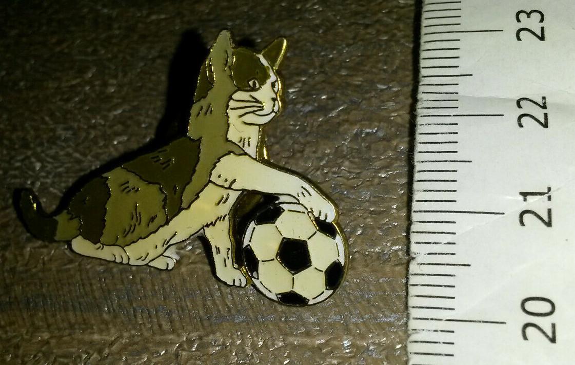 Cat Grey and White playing with football Pin