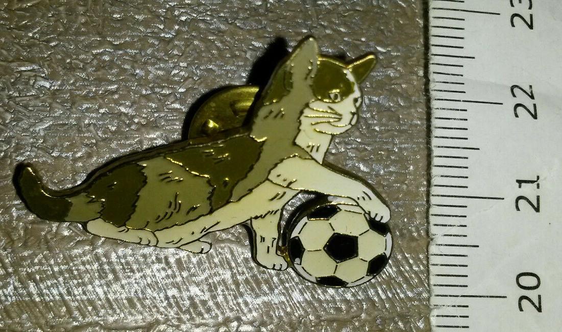 Cat Grey and White playing with football Pin