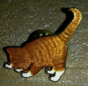しっぽを立てて下を見ている、茶トラ猫のピン