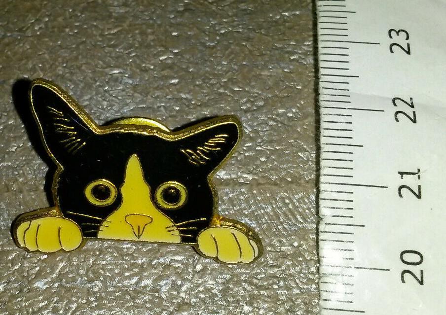 Cat looking over it's paws cute look Pin