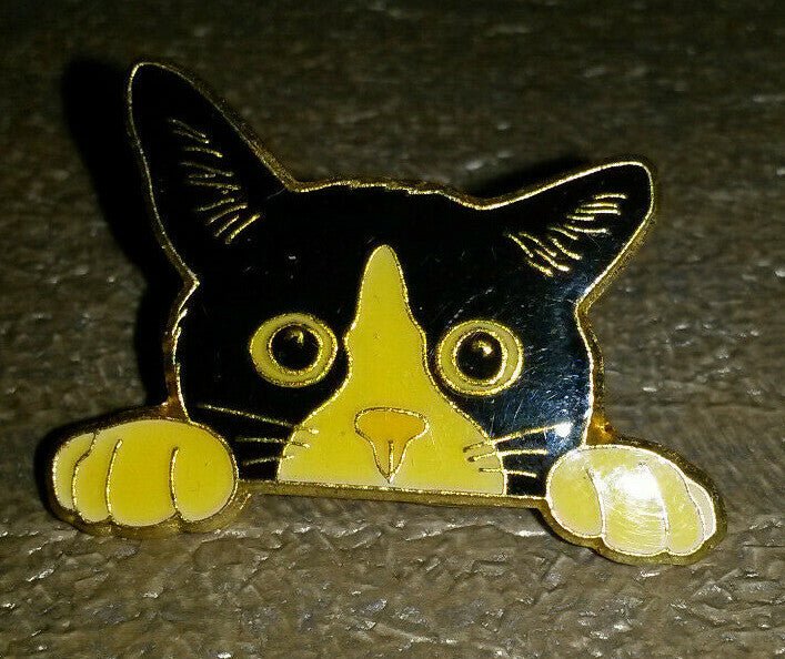 Cat looking over it's paws cute look Pin