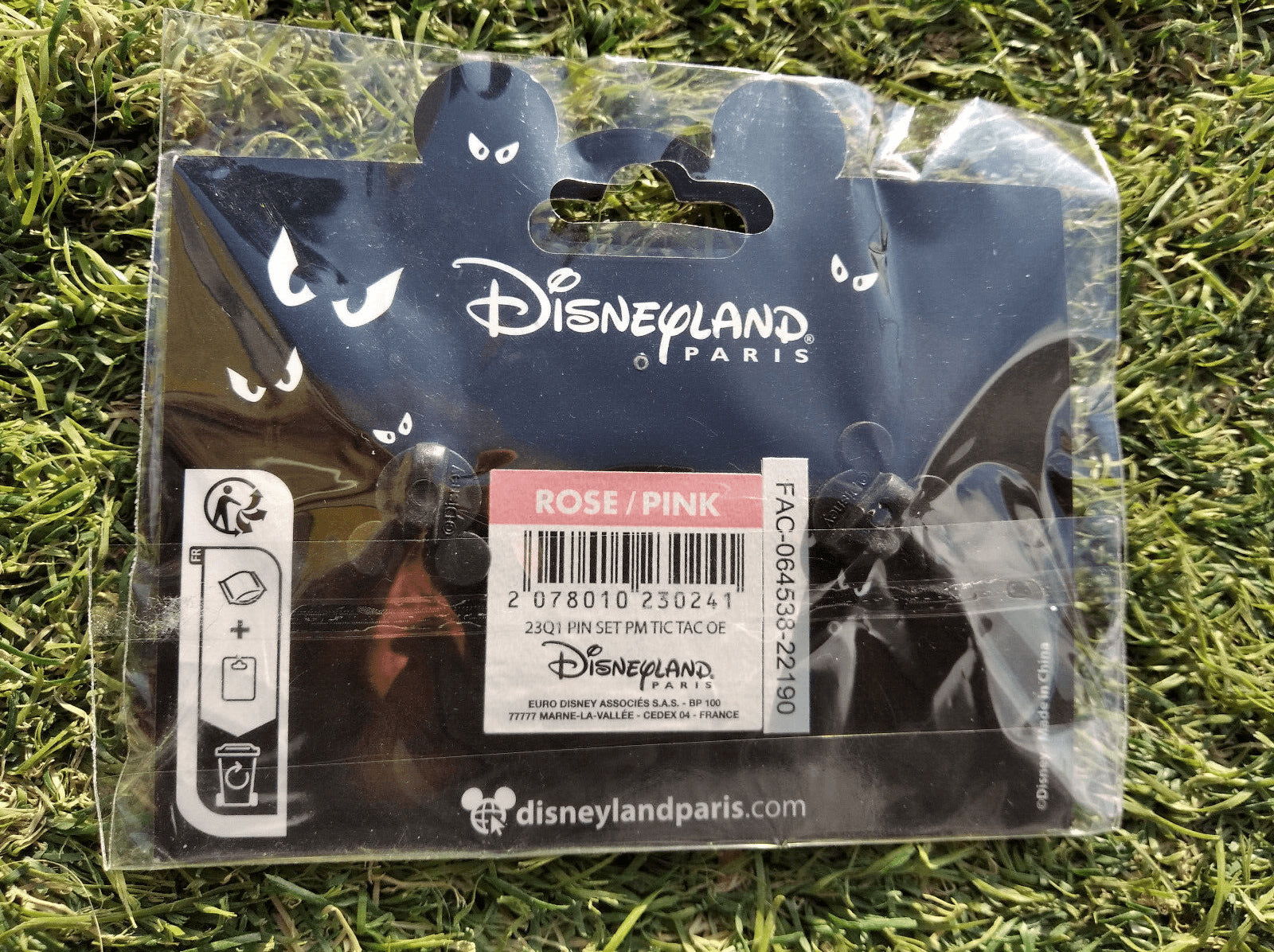 Chip Dale Gargoyle Phantom Manor Haunted Mansion Disney L Paris DLP Oct 2022 Pin
