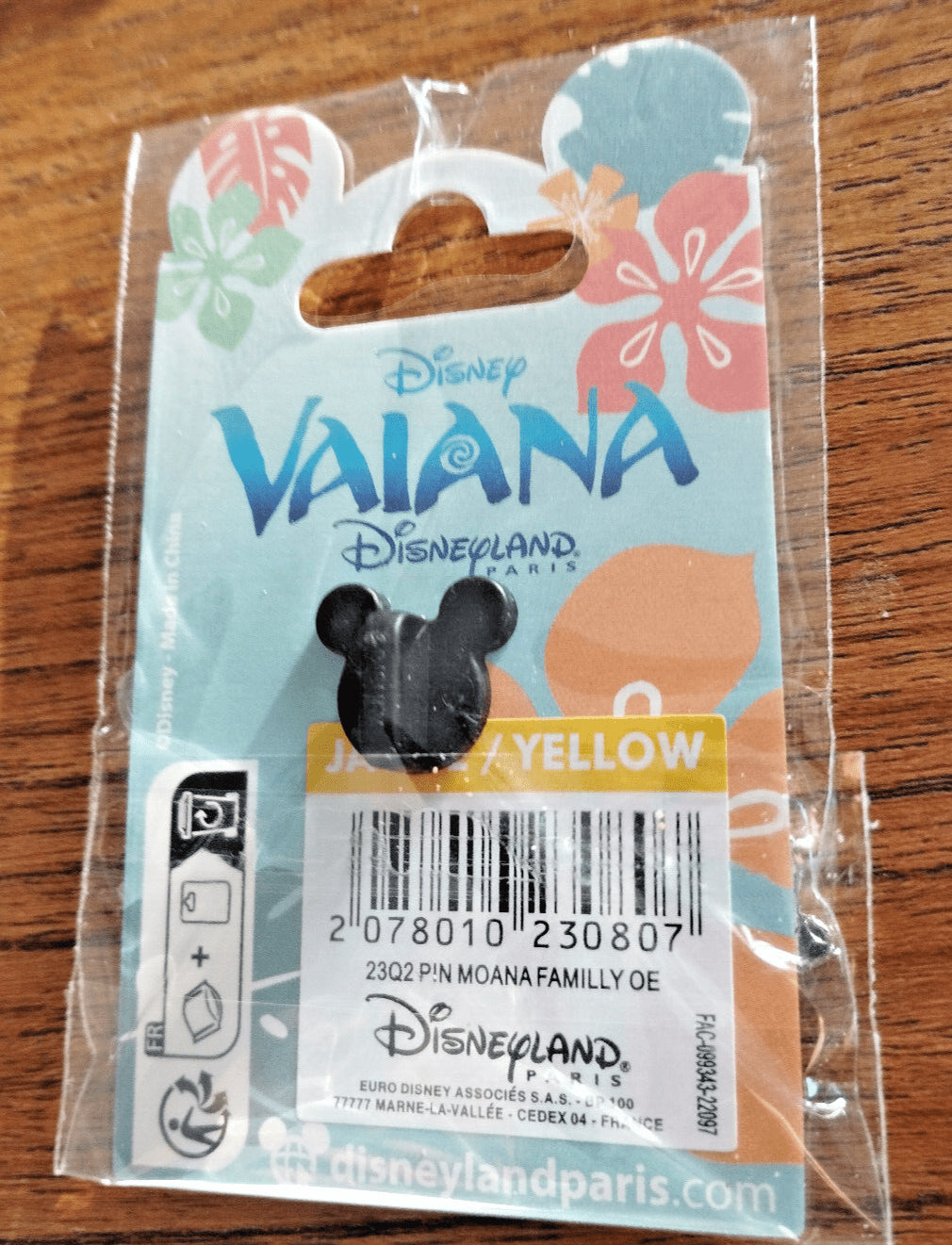 Hei Hei over Moana and Pua (Vaiana ) Disney Land Paris Dlrp Dlp Jan 2023 Pin
