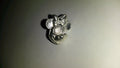 Minnie 3D smiling face silver colour Disney pin
