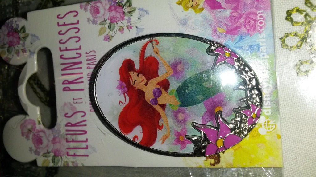 New Flowers and Princesses Cinderella Frame 17 March 2018 Disney Land Paris Dlp