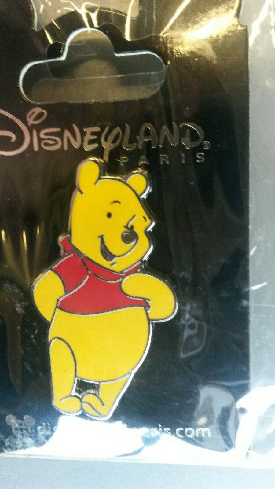 New Winnie the Pooh standing proud Disney Paris Dlrp Dlp 20th of July 2019 Pin