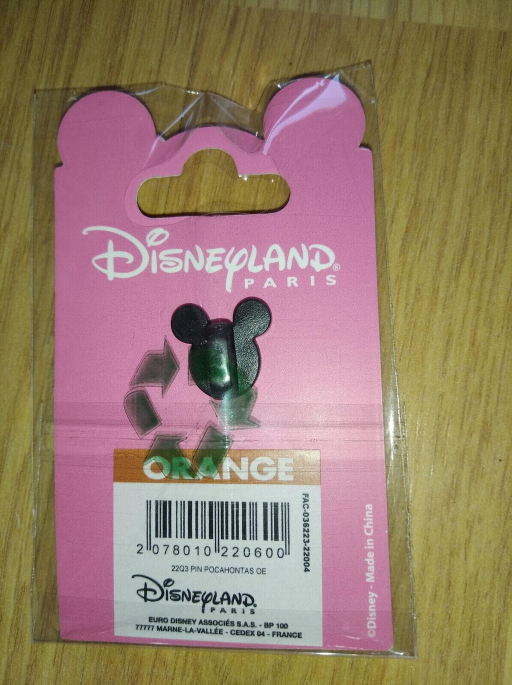 Pocahontas with Meeko Princess Disney Land Paris Dlp 2022 Pin