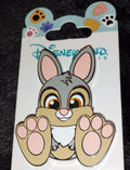 Thumper - Bambi - Big Feet Series Disney Land Paris Dlrp Dlp Oct 2023 Pin