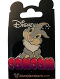 Thumper with its name (Bambi) Disney Land Paris Dlrp Dlp Oct 2024 Pin